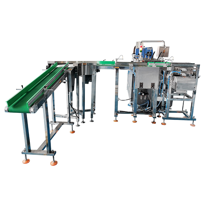 Cereal Box Packaging Machine